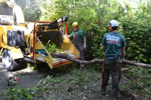 tree services Lecompton